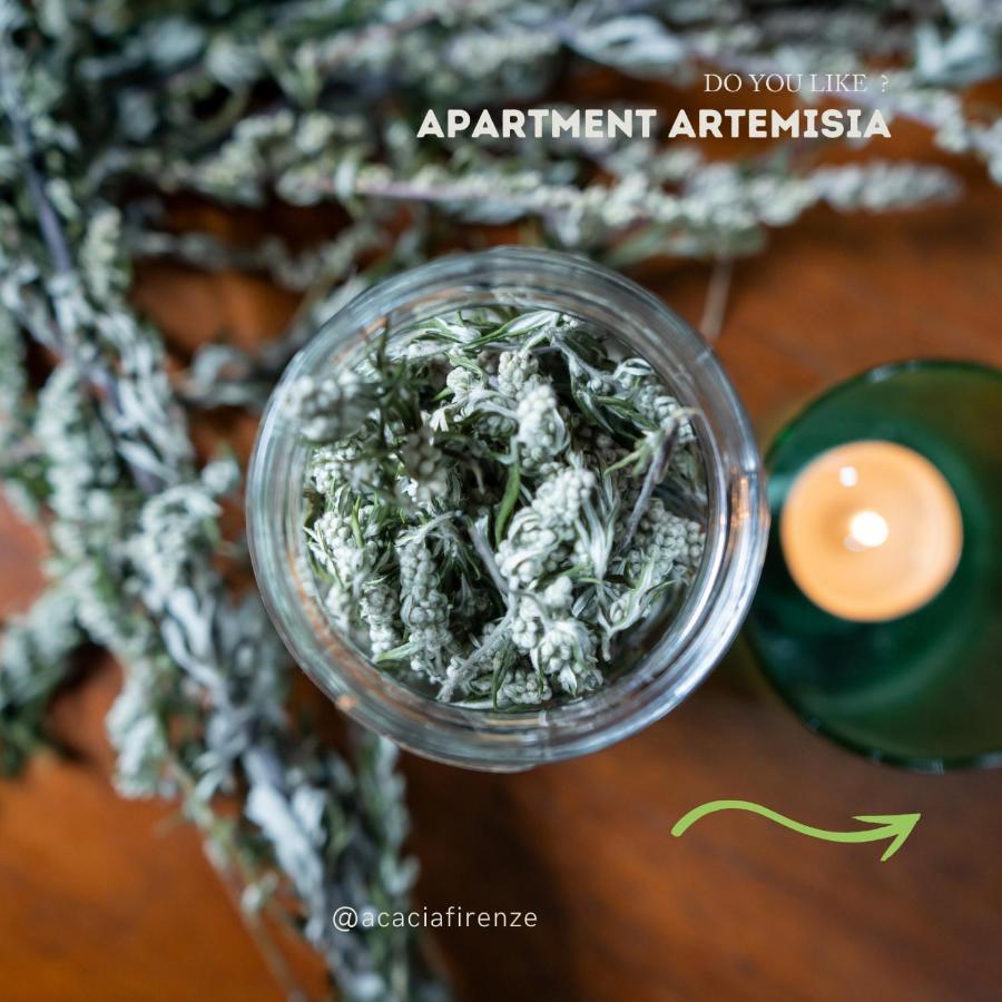 Acacia Firenze Apartments Artemisia-Angelica Ngoại thất bức ảnh