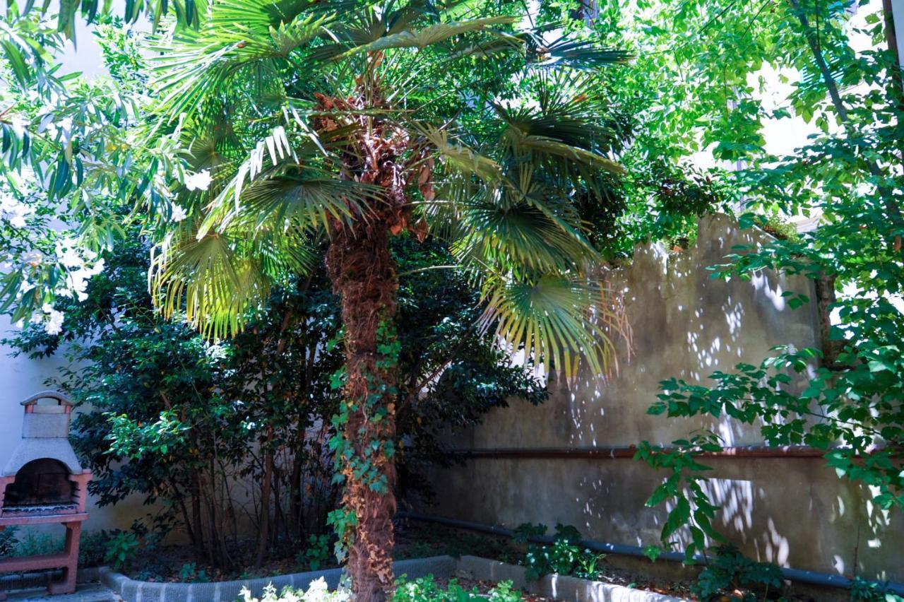 Acacia Firenze Apartments Artemisia-Angelica Ngoại thất bức ảnh